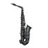 alto-saxophone-selmer-supreme-2025-limited-edition_0001.jpg