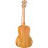 concertukulele-kai-modell-kci-30-mango_0002.jpg