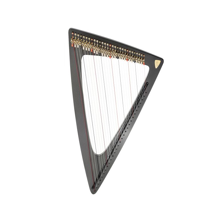 lever-harp-salvi-model-delta-c-black_0001.jpg