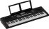 clavier-roland-modele-e-x10-arranger-noir_0003.jpg