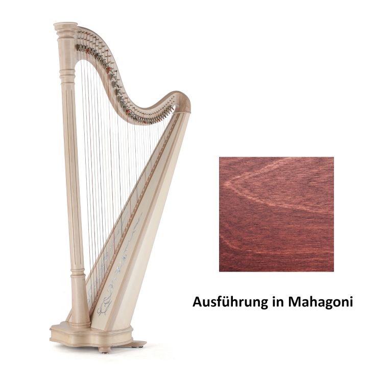 klappenharfe-salvi-modell-ana-40-mahagoni_0001.jpg