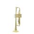 trompette-en-si-bemol-carol-brass-carnival-laque-d_0001.jpg