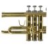 trompette-en-si-bemol-carol-brass-carnival-laque-d_0011.jpg