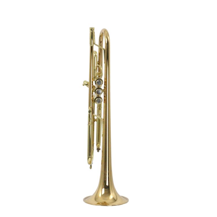 b-trompete-carol-brass-junior-lackiert-gold_0002.jpg