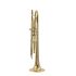 b-trompete-carol-brass-junior-lackiert-gold_0002.jpg