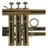 trompette-en-si-bemol-carol-brass-advanced-laque-d_0007.jpg