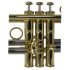 trompette-en-si-bemol-carol-brass-advanced-laque-d_0013.jpg