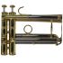 trompette-en-si-bemol-carol-brass-advanced-laque-d_0014.jpg