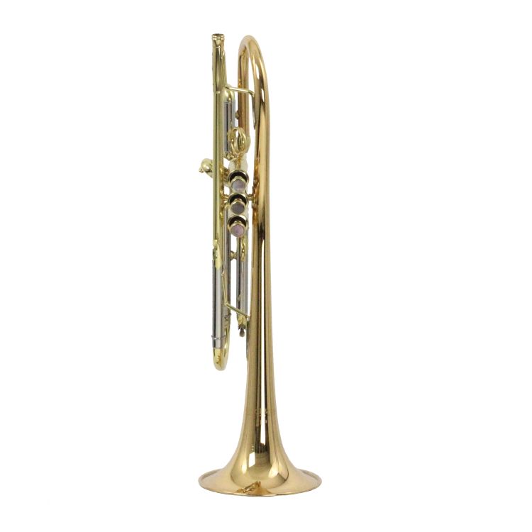 b-trompete-carol-brass-up-lackiert-gold_0002.jpg