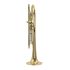 b-trompete-carol-brass-up-lackiert-gold_0002.jpg