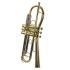 b-trompete-carol-brass-up-lackiert-gold_0009.jpg