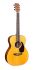 guitare-folk-martin-guitar-modele-000jr-10e-shawn-_0001.jpg