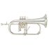 fluegelhorn-yamaha-yfh-8315-gs-versilbert-silber_0001.jpg