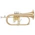 flugelhorn-yamaha-yfh-8315-g-lacquered-gold_0001.jpg