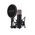 microphone-rode-modele-nt1-5th-gen-xlr--usb-noir_0001.jpg