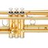 b-trompete-yamaha-ytr-4335-gii-lackiert-gold_0002.jpg