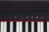 keyboard-roland-model-go-piano-61-keys-black_0005.jpg