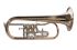 flugelhorn-oberrauch-meinlschmidt-lacquered-gold_0001.jpg