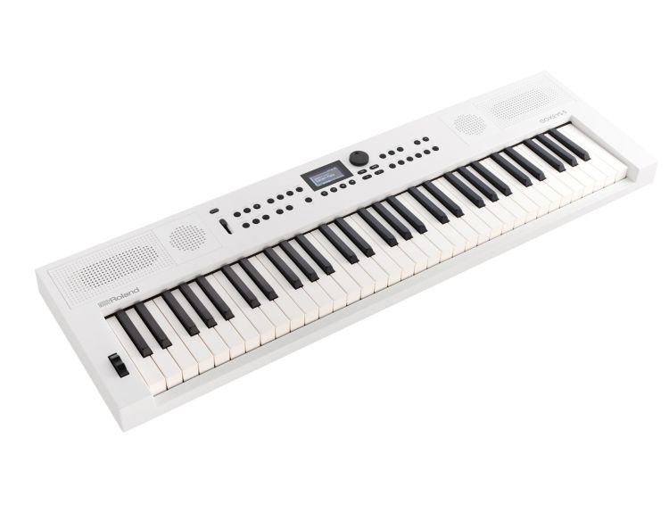 keyboard-roland-model-go-keys-5-_0002.jpg