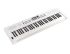 keyboard-roland-model-go-keys-5-_0002.jpg