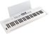 keyboard-roland-model-go-keys-5-_0004.jpg