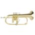 flugelhorn-yamaha-yfh-8310z-lacquered-gold_0001.jpg