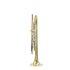 b-trompete-carol-brass-basic-lackiert-gold_0002.jpg