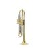 b-trompete-carol-brass-basic-lackiert-gold_0004.jpg