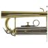 b-trompete-carol-brass-basic-lackiert-gold_0006.jpg