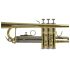b-trompete-carol-brass-basic-lackiert-gold_0007.jpg