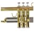 b-trompete-carol-brass-basic-lackiert-gold_0008.jpg