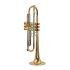 b-trompete-carol-brass-heavy-lackiert_0003.jpg