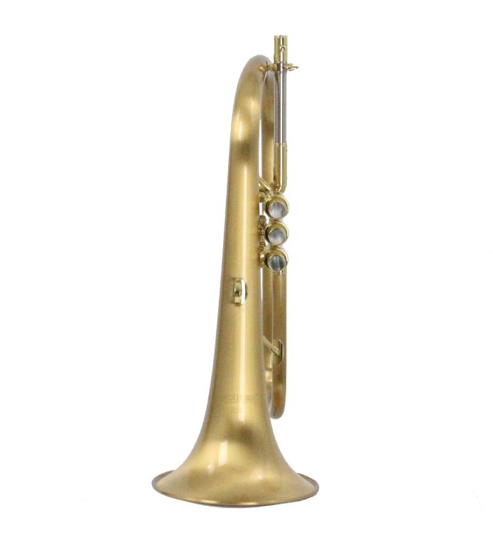 fluegelhorn-carol-brass-gold-satiniert-gold_0002.jpg