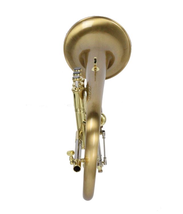 fluegelhorn-carol-brass-gold-satiniert-gold_0005.jpg