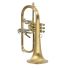 fluegelhorn-carol-brass-gold-satiniert-gold_0003.jpg