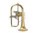 fluegelhorn-carol-brass-gold-satiniert-gold_0004.jpg