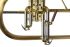 fluegelhorn-carol-brass-gold-satiniert-gold_0006.jpg