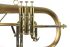 fluegelhorn-carol-brass-gold-satiniert-gold_0007.jpg