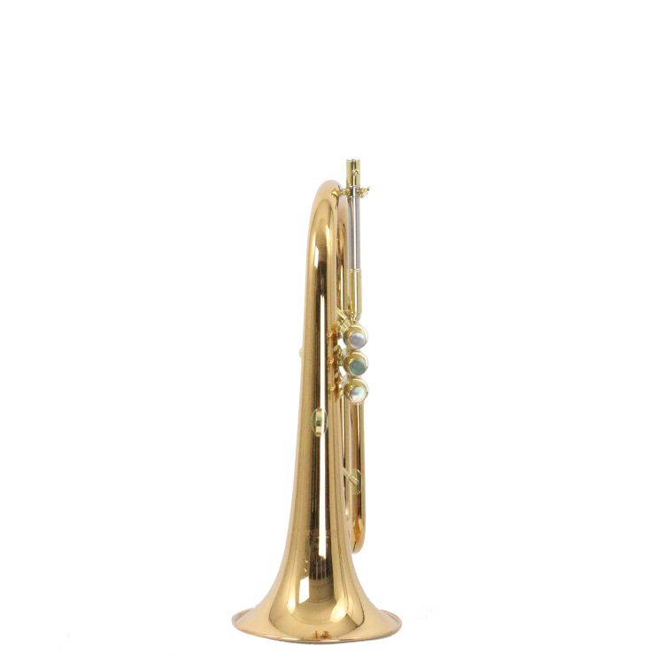fluegelhorn-carol-brass-rose-lackiert_0002.jpg