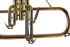 fluegelhorn-carol-brass-rose-lackiert_0006.jpg