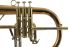fluegelhorn-carol-brass-rose-lackiert_0008.jpg