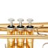 yamaha-ycr-4330-gii-lacquered-gold_0002.jpg