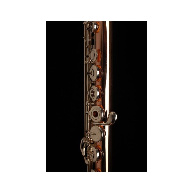flute-muramatsu-9k-sr-g-s-rbeoh-gold_0002.jpg