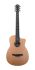 western-guitar-furch-model-pioneer-cm-natural_0001.jpg