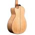 guitare-folk-lakewood-modele-m-35-cp-_0003.jpg