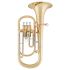tenorhorn-arnolds--sons-abh-1221-lackiert-gold_0001.jpg