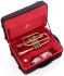 cornet-sib-john-packer-jp271sw-laque-dore_0002.jpg